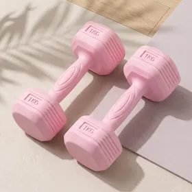 Halteres Par 1kg Rosa Emborrachado Sextavado Academia Treino