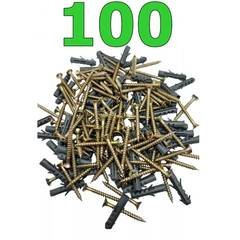 Kit 100 Parafuso Phillips C/bucha 8mm